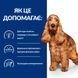 Hill&rsquo;s Prescription Diet Canine z/d 10 кг - сухий корм для собак при харчовій алергії та чутливому травленні 607639 фото 2