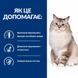 Hill's Prescription Diet j/d Mobility 1,5 кг - сухий корм з куркою для кішок, що схильні до остеоартритів суглобів та хрящів 605857 фото 4