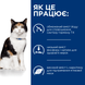 Hill&rsquo;s PRESCRIPTION DIET y/d Thyroid Care Сухий корм для підтримки здоров&rsquo;я щитоподібної залози, 3 кг 605926 фото 3