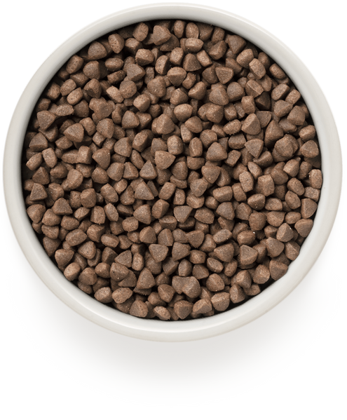 Grandorf Cat Rabbit & Turkey Adult Sterilized 8 кг - сухий комплексний корм для стерилізованих, літніх або схильних до повноти котів 82508 фото
