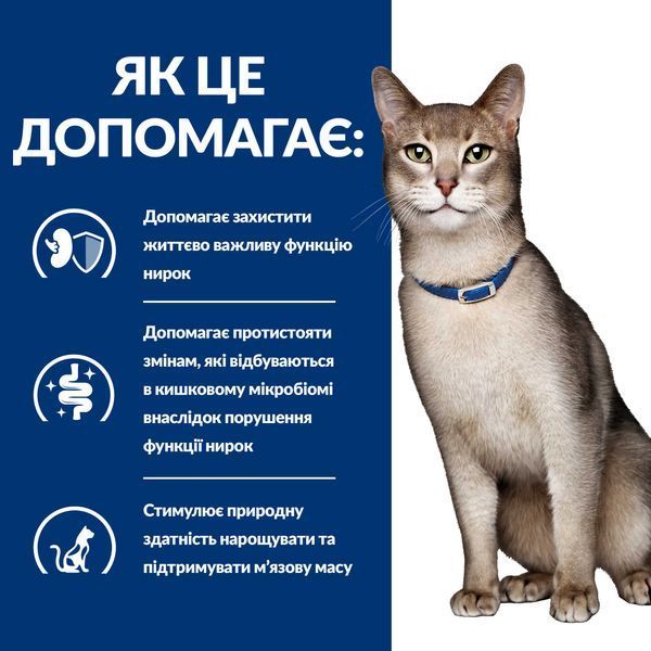 Hill&rsquo;s PRESCRIPTION DIET k/d з ActivBiome+ Kidney Defense Сухий корм для котів підтримання функції нирок, з тунцем, 3 кг 605992 фото