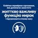 Hill&rsquo;s PRESCRIPTION DIET k/d з ActivBiome+ Kidney Defense Сухий корм для котів підтримання функції нирок, з тунцем, 3 кг 605992 фото 5