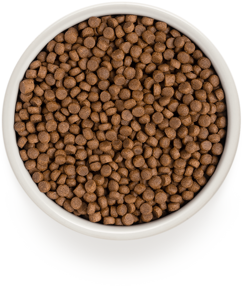 Grandorf Cat 4 Meat Adult Indoor 2 кг з пробіотиками- сухий корм для дорослих котів з 4-ма видами м'яса 83702 фото