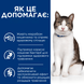 Hill's PRESCRIPTION DIET Gastrointestinal Biome Stress Сухий корм для котів при розладах травлення та для підтримки при дії стресових факторів, з куркою, 3 кг 608945 фото 4