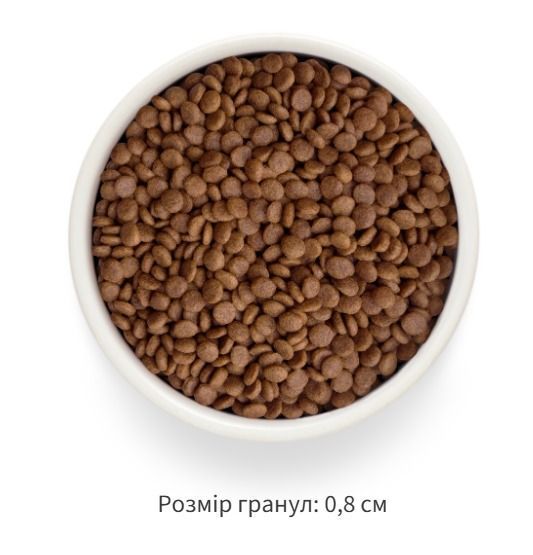 Grandorf FRESH SALMON & SWEET POTATO ADULT CAT - Беззерновий сухий корм для дорослих котів лосось з бататом, 2 кг 83802 фото
