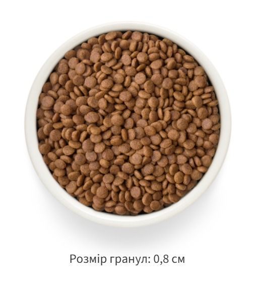 Grandorf FRESH DUCK & SWEET POTATO ADULT CAT - Беззерновий сухий корм для дорослих котів качка з бататом, 2 кг 83902 фото
