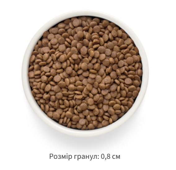 Grandorf FRESH SALMON & SWEET POTATO ADULT CAT STERILISED - Беззерновий сухий корм для стерилізованих котів лосось з бататом, 400 г 82840 фото