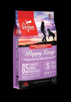 Сухий корм для цуценят великих порід Orijen Puppy Large Breed 11,4 кг (o18112) o18112 фото